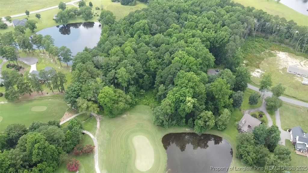 Photo of Lark Lane, Sanford, NC 27332 (MLS # 746934)