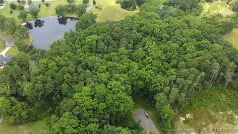 Tiny photo for Lark Lane, Sanford, NC 27332 (MLS # 746934)