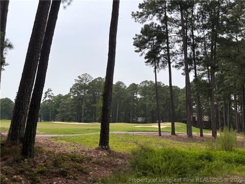 Tiny photo for 265 Fairway Lane, Sanford, NC 27332 (MLS # 767026)