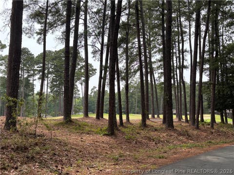 Tiny photo for 265 Fairway Lane, Sanford, NC 27332 (MLS # 767026)