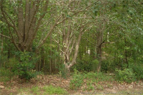 Tiny photo for 265 Fairway Lane, Sanford, NC 27332 (MLS # 767026)