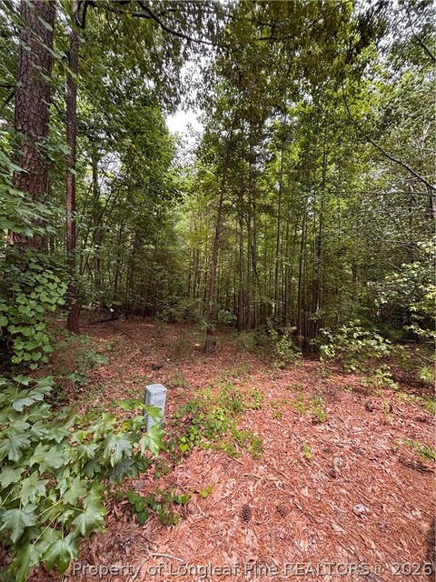 Tiny photo for 265 Fairway Lane, Sanford, NC 27332 (MLS # 767026)