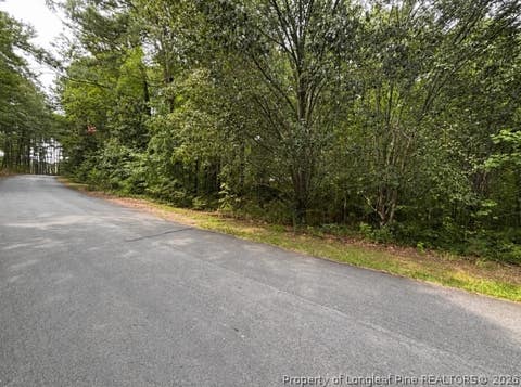 Photo of 265 Fairway Lane, Sanford, NC 27332 (MLS # 767026)