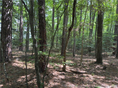 Photo of 7047 Maple Circle, Sanford, NC 27332 (MLS # 768512)