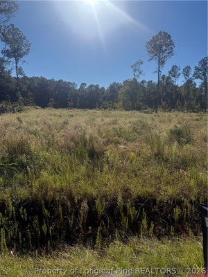 1291 BILL HOOKS ROAD, WHITEVILLE, NC 28472 - Image 8ef1f83e5af968f88733b36b3688bf17/984512732