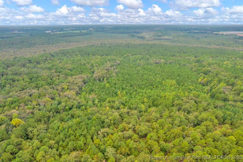 00 Blue Woods Road