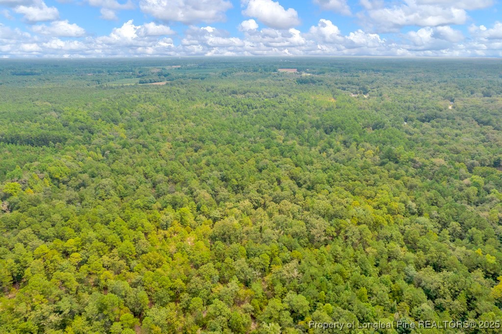 00 Blue Woods Road