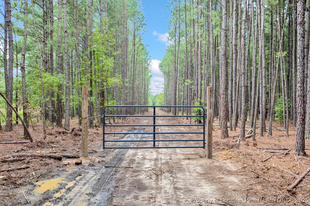 00 Blue Woods Road