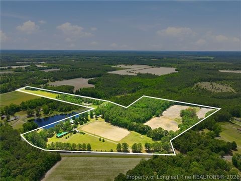 Photo of 10400 Ruth Vinson Road, Autryville, NC 28318 (MLS # 762548)