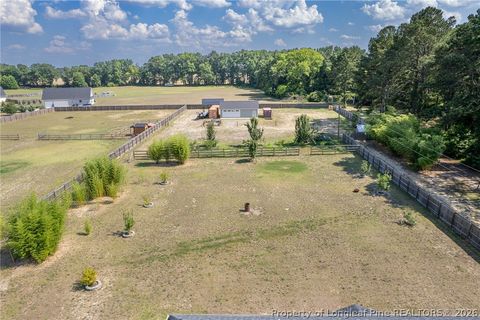 Tiny photo for 5100 JT Matthews Road, Godwin, NC 28344 (MLS # 765442)
