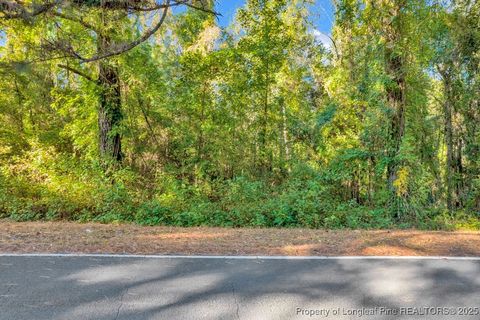 Photo of 00 Walker Road, Linden, NC 28356 (MLS # 752746)