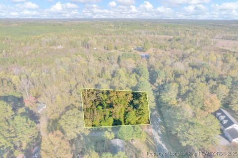 Tiny photo for 00 Walker Road, Linden, NC 28356 (MLS # 752746)