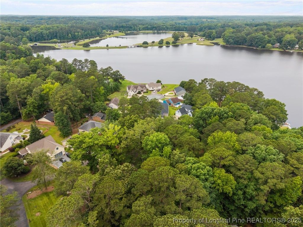 Photo of 968 S Bay Drive, Sanford, NC 27332 (MLS # 754007)