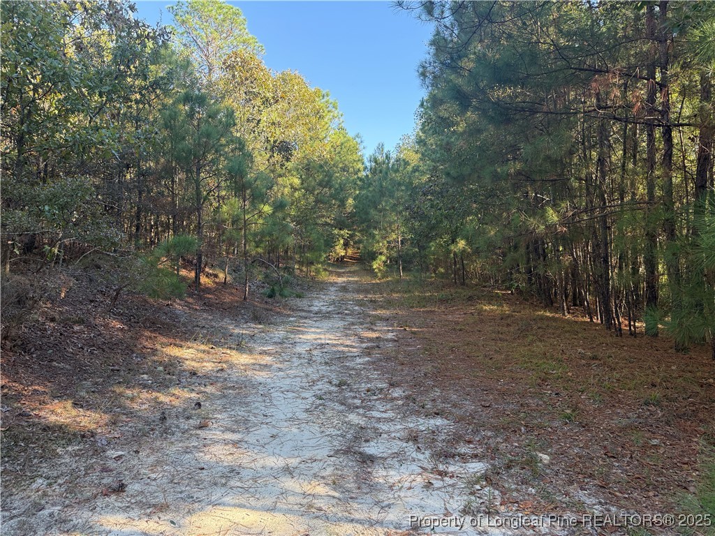 2608 Blowing Rock Court