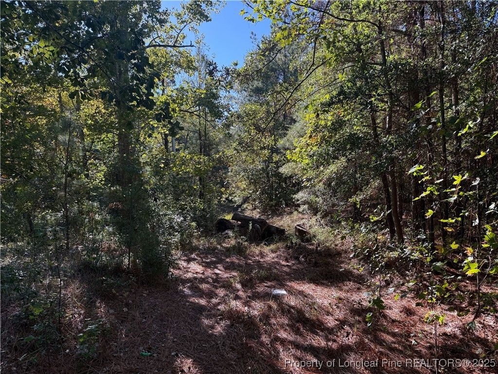 Photo of 2608 Blowing Rock Court, Hope Mills, NC 28348 (MLS # 752035)