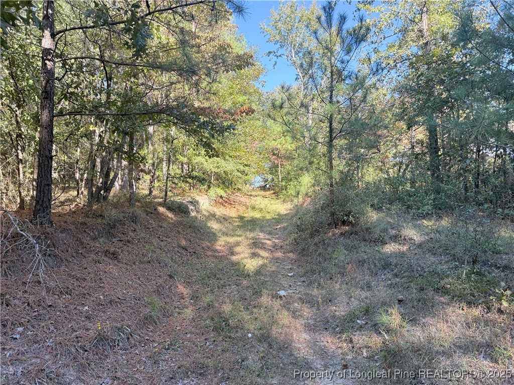 2608 Blowing Rock Court