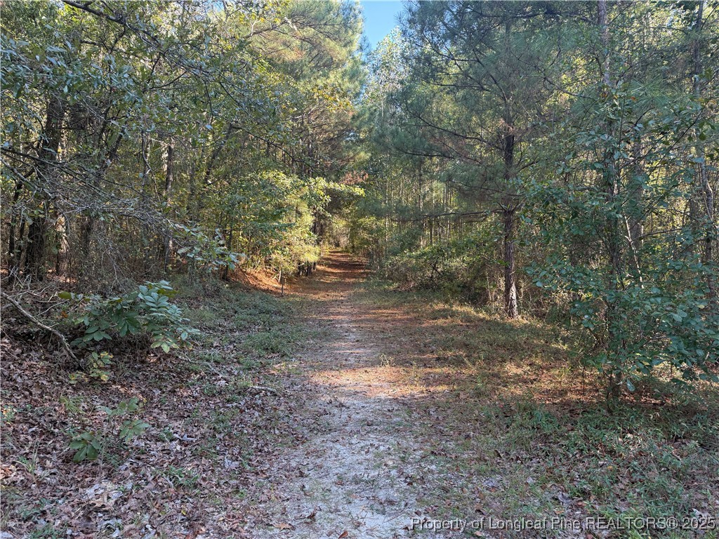 2608 Blowing Rock Court