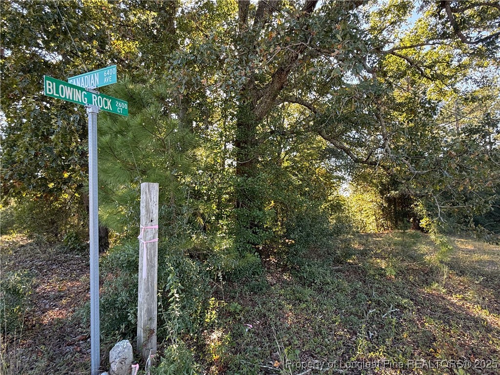 Photo 1 of 11 — 2608 Blowing Rock Court, Hope Mills, NC 28348