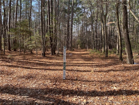 WESTERN TRAIL, CARTHAGE, NC 28327 - Image 9279885e315f8d79467b2d30f7e2549e/562405098