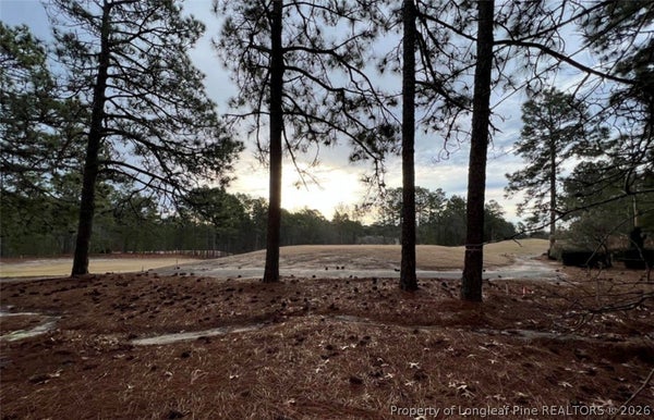 182 BANBRIDGE DR, WEST END, NC 27376 - Image 929dbfd4e326f24bea947381d9c7a161/3417713337