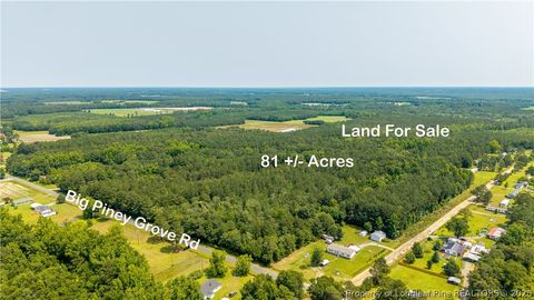 Tiny photo for Big Piney Grove Road, Clinton, NC 28328 (MLS # 762414)
