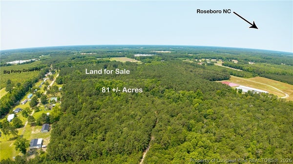 BIG PINEY GROVE RD, CLINTON, NC 28328 - Image 93f079d37fa41b71c8d7fbc64f3e1146/2414866320