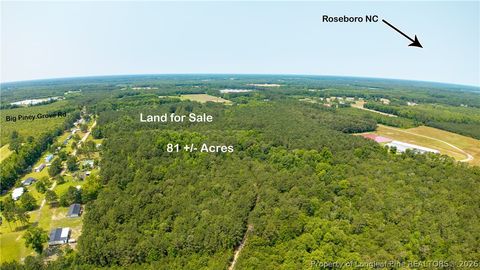 Photo of Big Piney Grove Road, Clinton, NC 28328 (MLS # 762414)