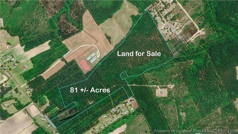Tiny photo for Big Piney Grove Road, Clinton, NC 28328 (MLS # 762414)