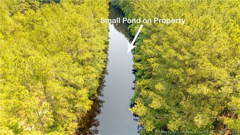 Tiny photo for Big Piney Grove Road, Clinton, NC 28328 (MLS # 762414)