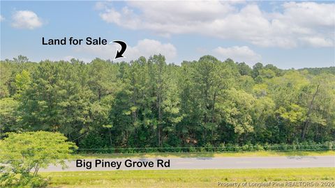 Tiny photo for Big Piney Grove Road, Clinton, NC 28328 (MLS # 762414)