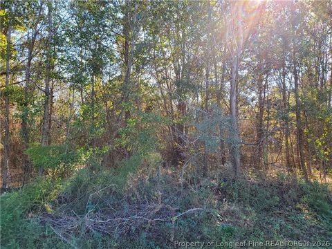 Tiny photo for 220 & 217 Kendall Court, Raeford, NC 28376 (MLS # 761141)