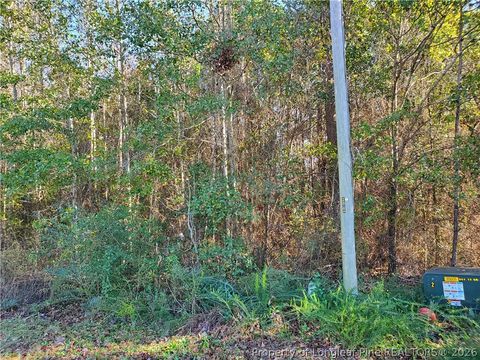 Tiny photo for 220 & 217 Kendall Court, Raeford, NC 28376 (MLS # 761141)