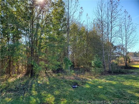 Photo of 220 & 217 Kendall Court, Raeford, NC 28376 (MLS # 761141)