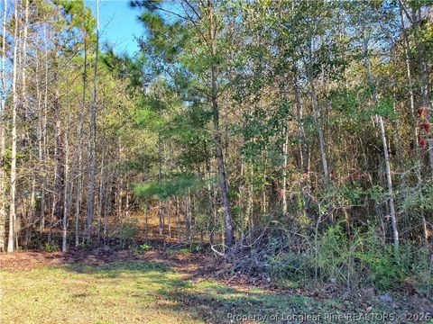 Tiny photo for 220 & 217 Kendall Court, Raeford, NC 28376 (MLS # 761141)