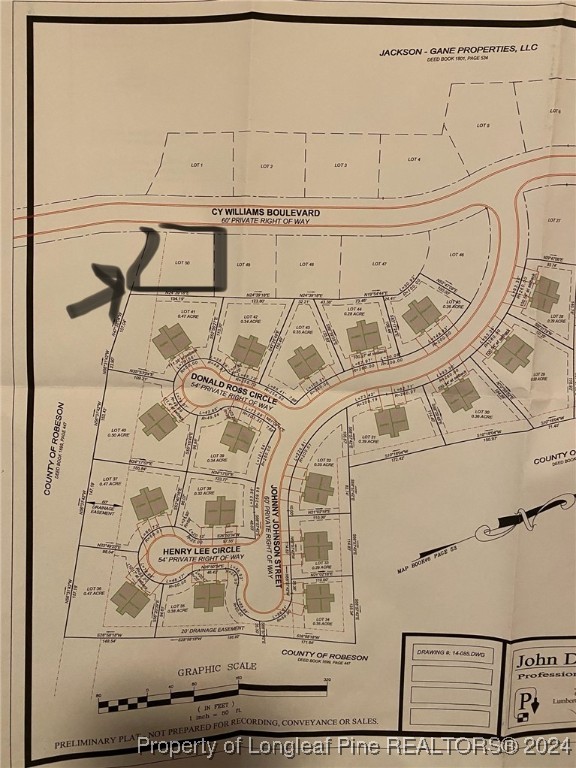 Cy Williams Boulevard