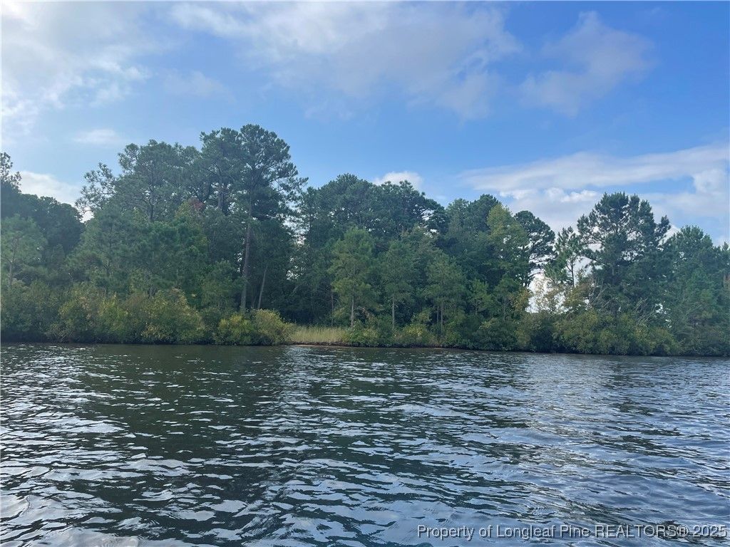 Photo of 226 Clearview Court, Sanford, NC 27332 (MLS # 746571)