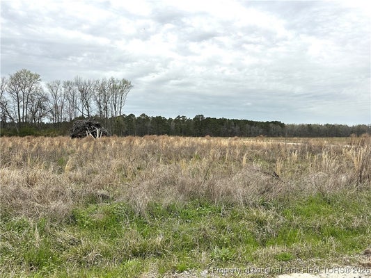 ADDRESS PRIVATE, LUMBER BRIDGE, NC 28357 - Image 954c5bdbf8e9cca7b316a5f181ed965d/2019073004