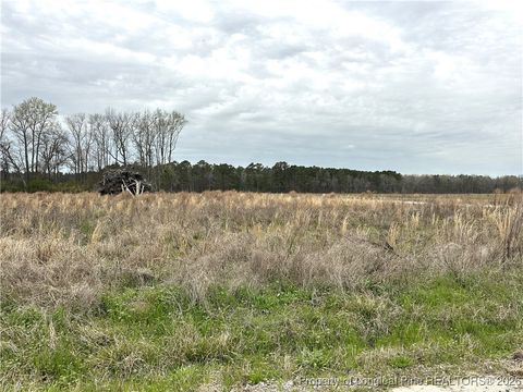 Photo of Costner Road, Lumber Bridge, NC 28357 (MLS # 755160)