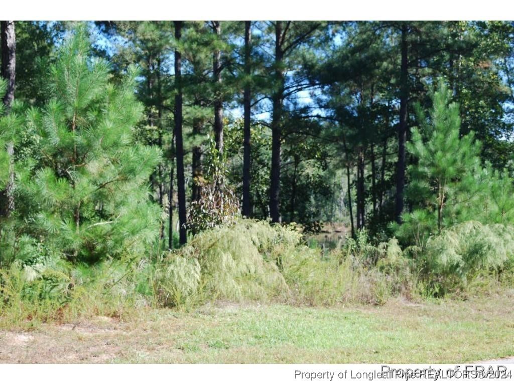Photo of 152 Broadlake (635) Lane, Spring Lake, NC 28390 (MLS # 734552)