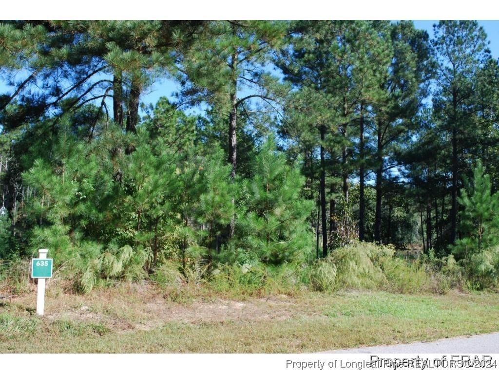 Photo of 152 Broadlake (635) Lane, Spring Lake, NC 28390 (MLS # 734552)