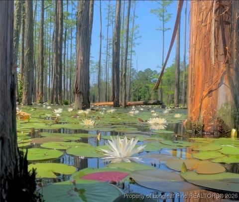 Tiny photo for 263 Brewster Drive, Fayetteville, NC 28303 (MLS # 756780)