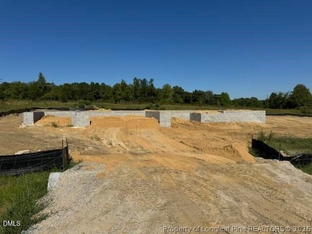 Photo of 104 Galway Road, Lillington, NC 27546 (MLS # 770523)
