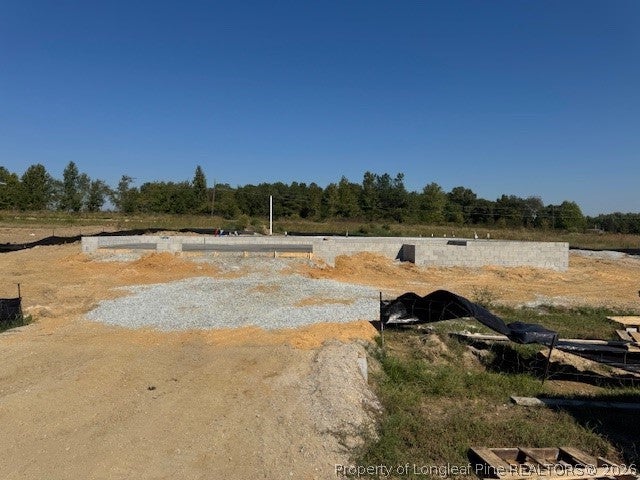 Photo of 104 Galway Road, Lillington, NC 27546 (MLS # 770523)