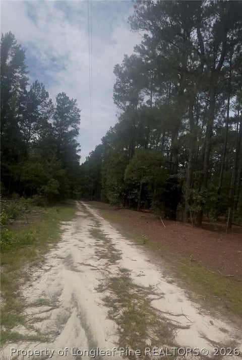 Tiny photo for Higgins Lane, Raeford, NC 28376 (MLS # 769468)