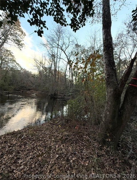 Tiny photo for Higgins Lane, Raeford, NC 28376 (MLS # 769468)