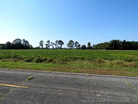 Tiny photo for TBD Cowpen Swamp Road, Fairmont, NC 28340 (MLS # 753986)