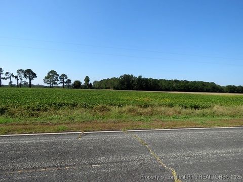 Tiny photo for TBD Cowpen Swamp Road, Fairmont, NC 28340 (MLS # 753986)