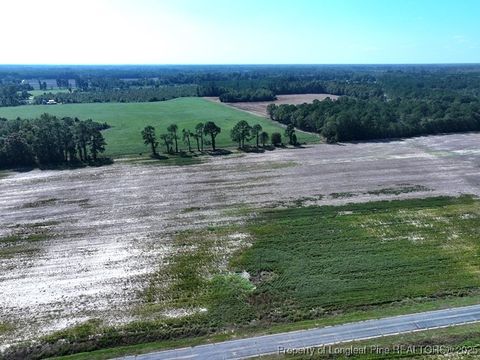 Photo of TBD Cowpen Swamp Road, Fairmont, NC 28340 (MLS # 753986)