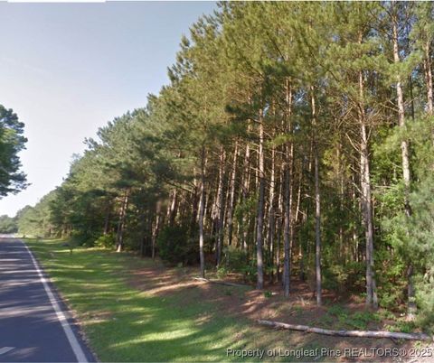 Tiny photo for TBD BOSTIC (LOT 7) Road, Laurinburg, NC 28352 (MLS # 754893)