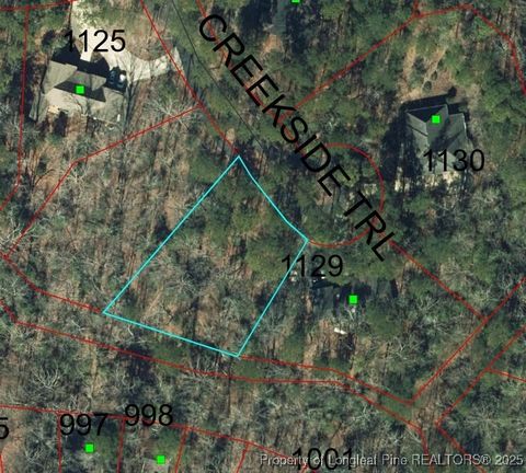 Tiny photo for 1128 Creekside Trail, Sanford, NC 27332 (MLS # 753234)